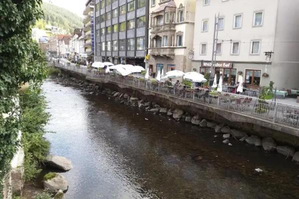 Hotel Sonne By Mastiff Bad Wildbad Dış mekan fotoğraf